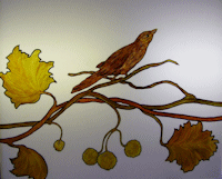 vogel